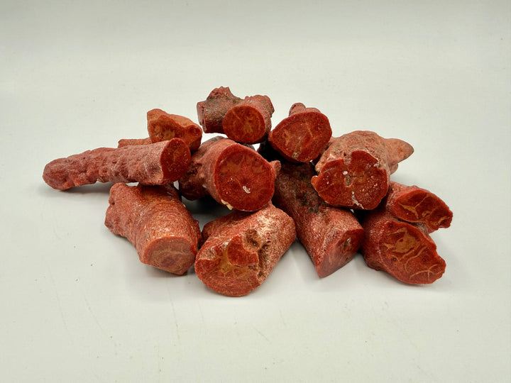Stabilized Rough Apple Coral - .25lb, .50lb, or 1 lb lots